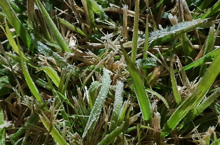 First frost of this autumn spotted in Seoul