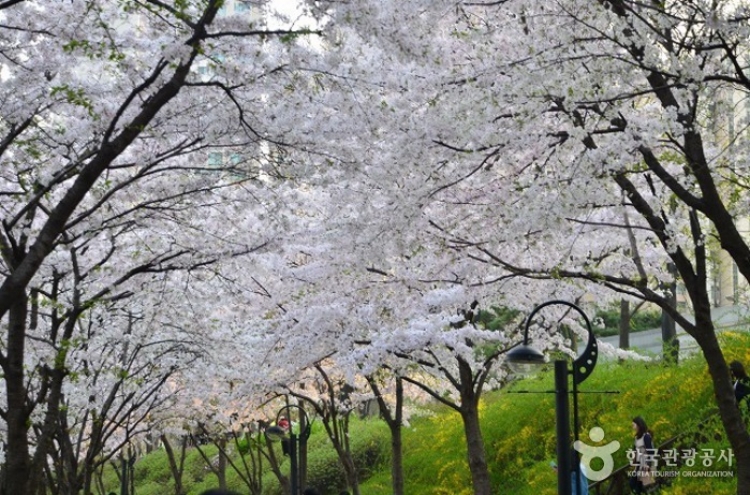 [Travel Bits] Festivals and sights across Korea