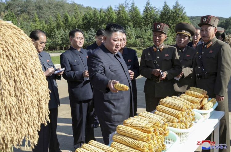 N. Korea's grain imports soar in April amid chronic food shortages: data