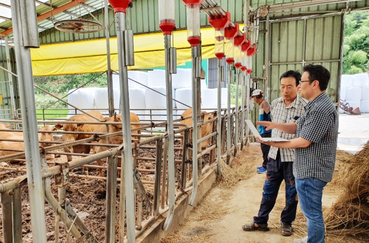 Number of beef cattle in S. Korea hits new high in Q2