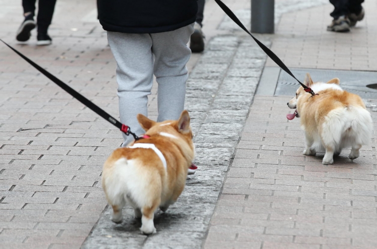 Seoul city to test pet cats, dogs for COVID-19