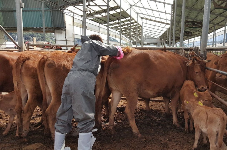 S. Korea to roll out vaccine against FMD by May