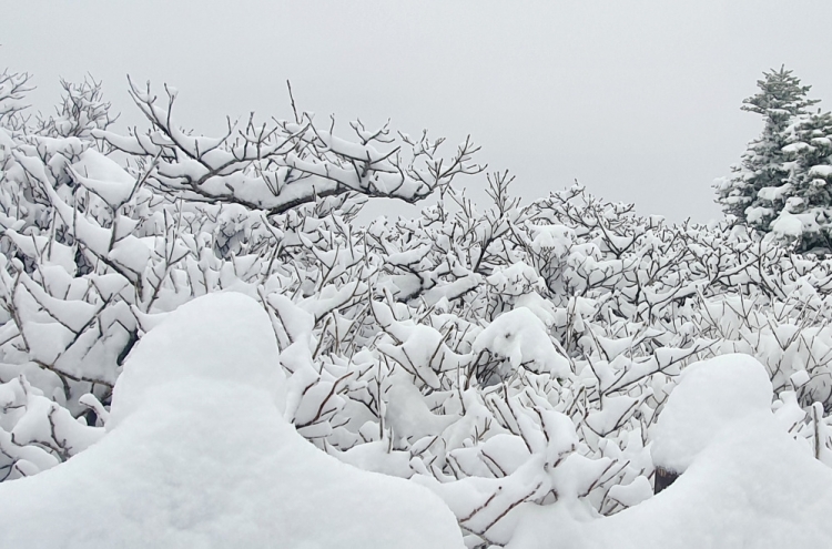 Unseasonal snowfall covers mountains in Gangwon Province