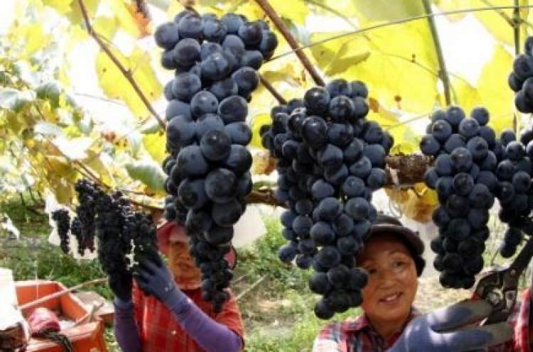 S. Korea's exports of grapes set fresh high in 2020