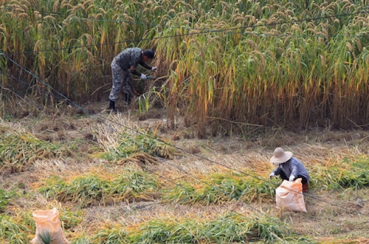 Number of farmers, fishermen continues to fall in S. Korea