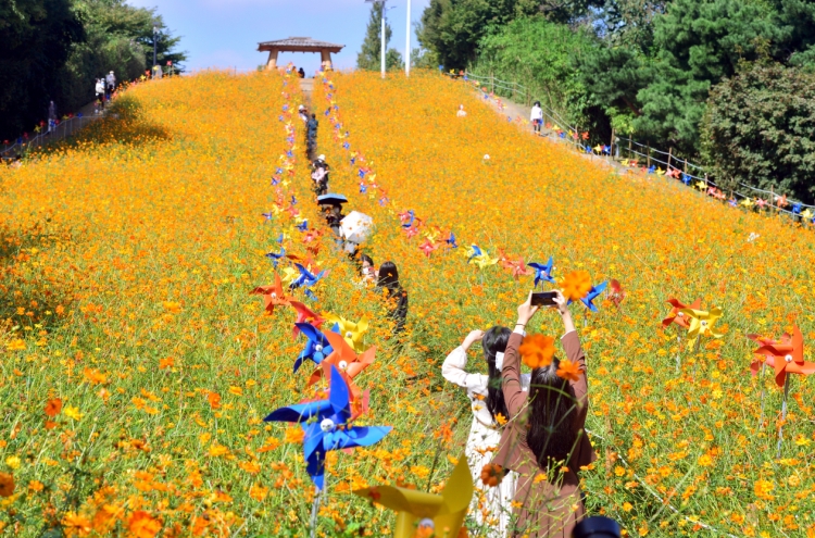 [Eye Plus] Fall flowers blooming at Seoul Olympic Park
