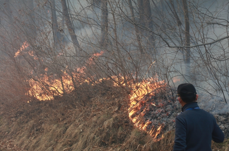 All-out battle under way to extinguish east coast wildfires