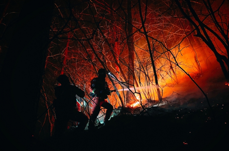 Wildfires on east coast burn nearly 24,000 ha of woodland, most devastating on record