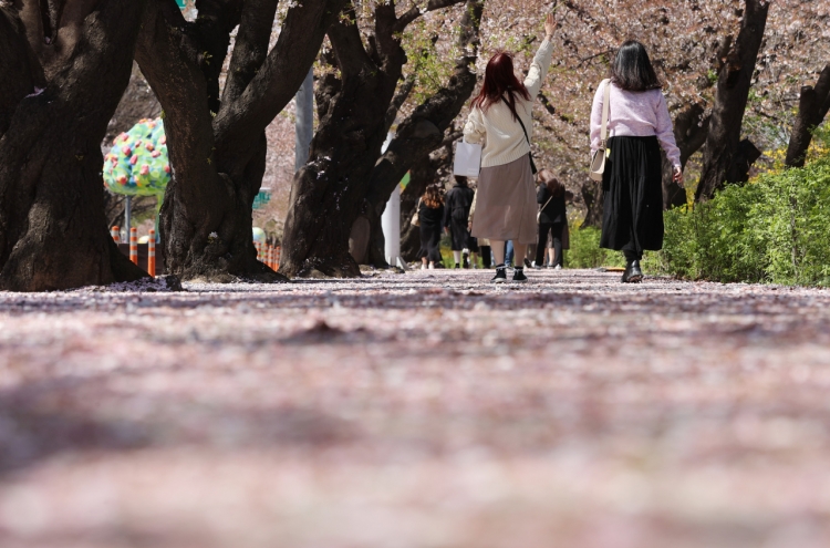 Cherry blossom street in Yeouido to welcome visitors this year but without festival