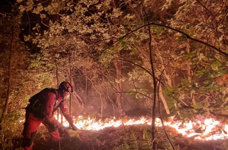 Miryang wildfire continues for 3rd day, nearly 650 ha of woodland scorched