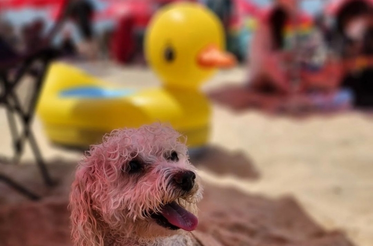 [Weekender] Vacationing with pets: What you need to know