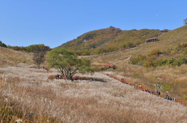 [Travel Bits] Festivals, sights across Korea