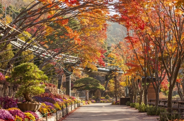 Arashiyama/Jin, Magic