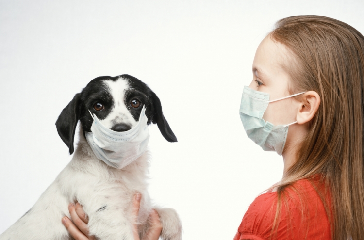 can dogs make humans sick