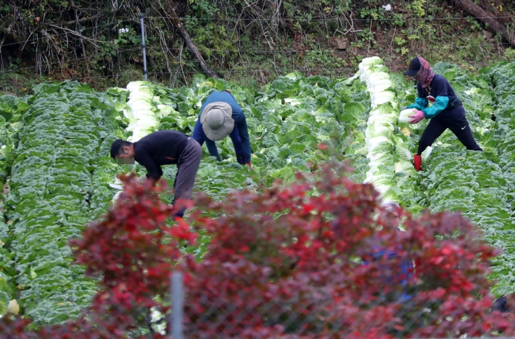 1 in 4 foreign laborers relocate with some citing violence: data