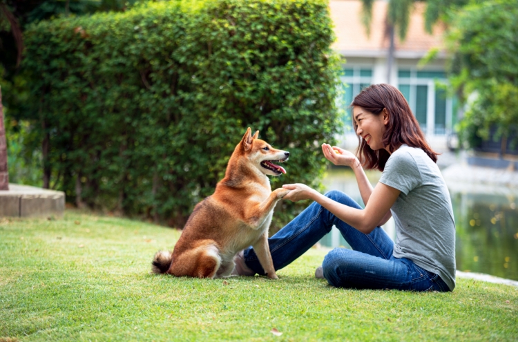 Pet spending surges during pandemic