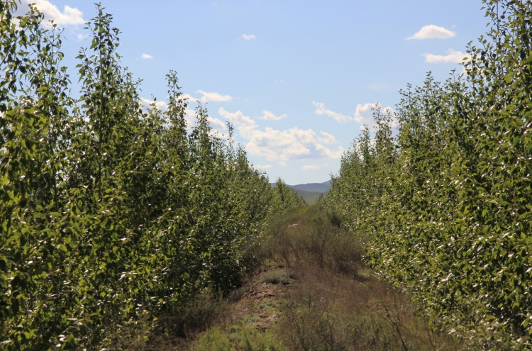 Sharing Korea's experience in forest restoration