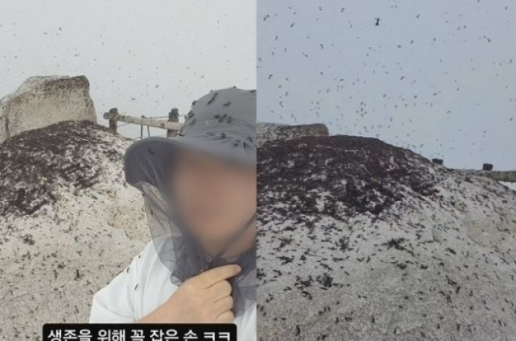 Photos of mountaintop lovebug invasion go viral