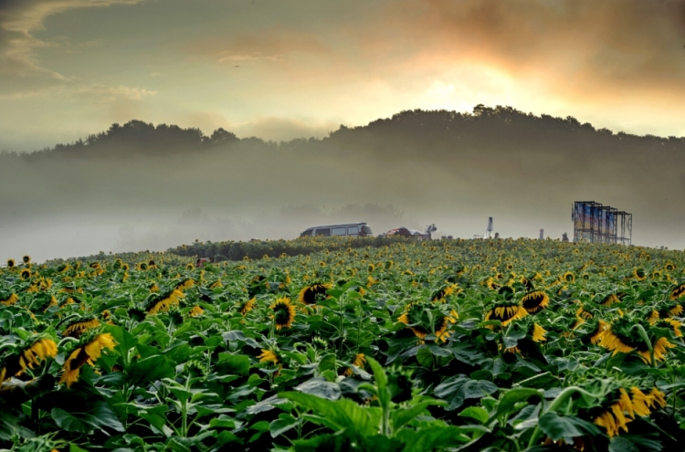 [Travel Bits] Festivals, sights across Korea