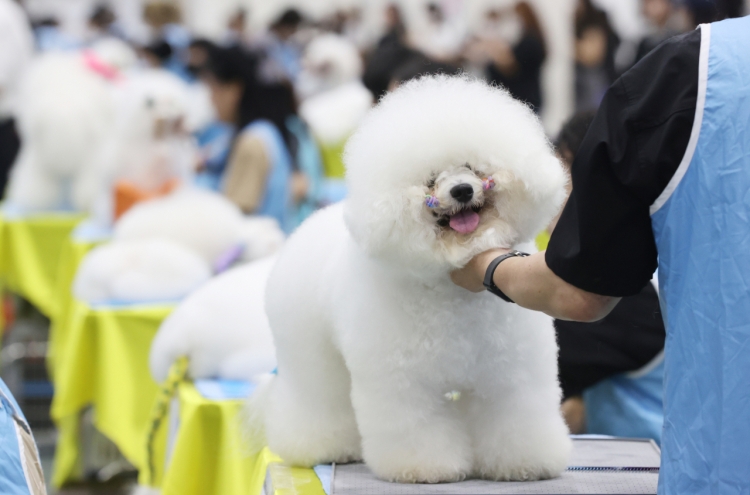 [Photo News] Top dogs
