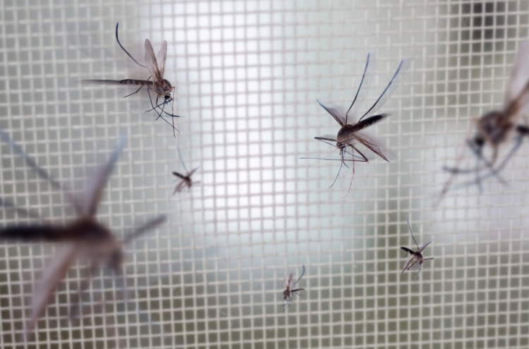 Number of mosquitoes in Korea's urban centers doubles