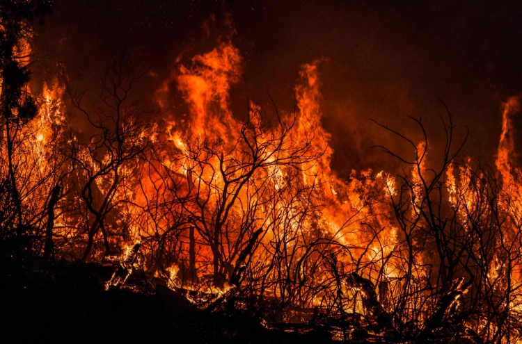 Algeria battles raging wildfires that have killed 34