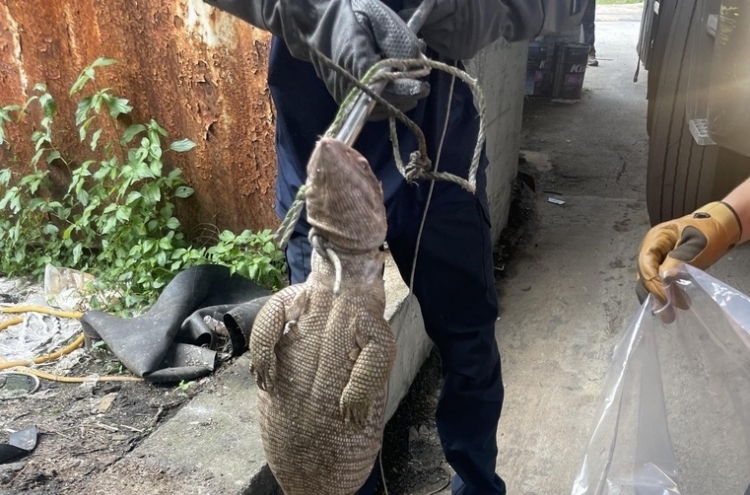 Culprit behind gator scare in Yeongju may have been giant lizard