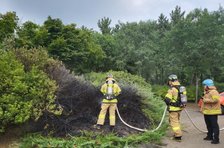 Park employees burn down 50 trees in beehive removal attempt