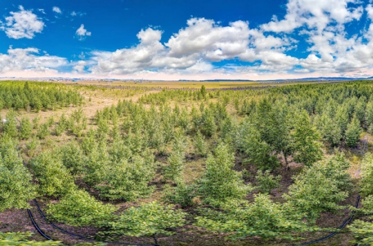 Korean Air grows forest in Mongolia