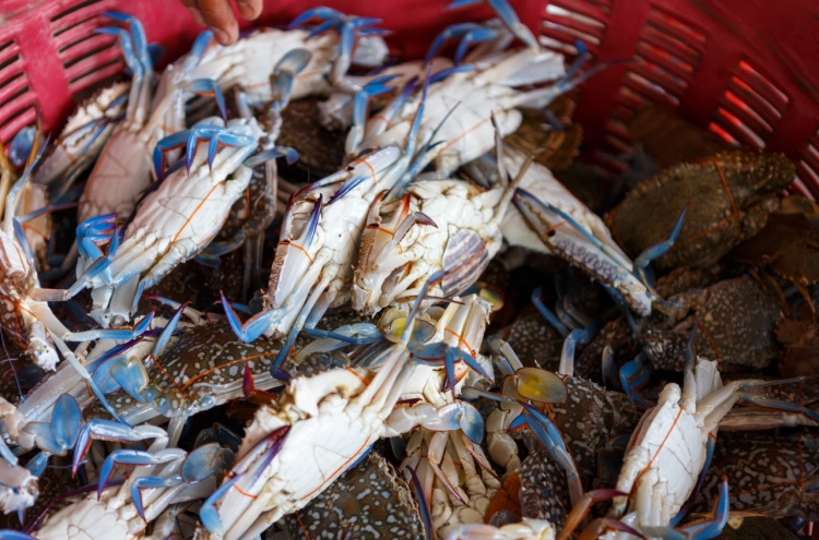 Italy's invasive blue crab has Korean seafood fans excited