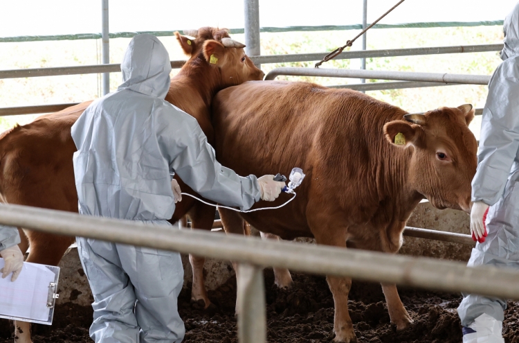S. Korea vaccinates nearly 82% of cattle amid LSD outbreaks