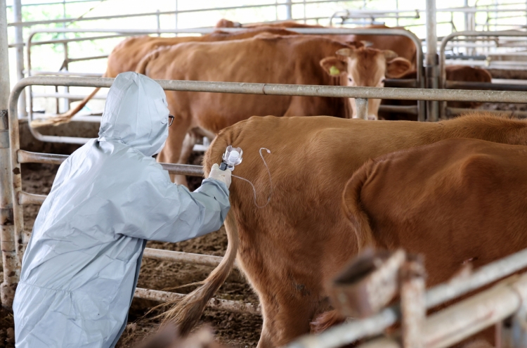About 70% of cattle receive shots against lumpy skin disease