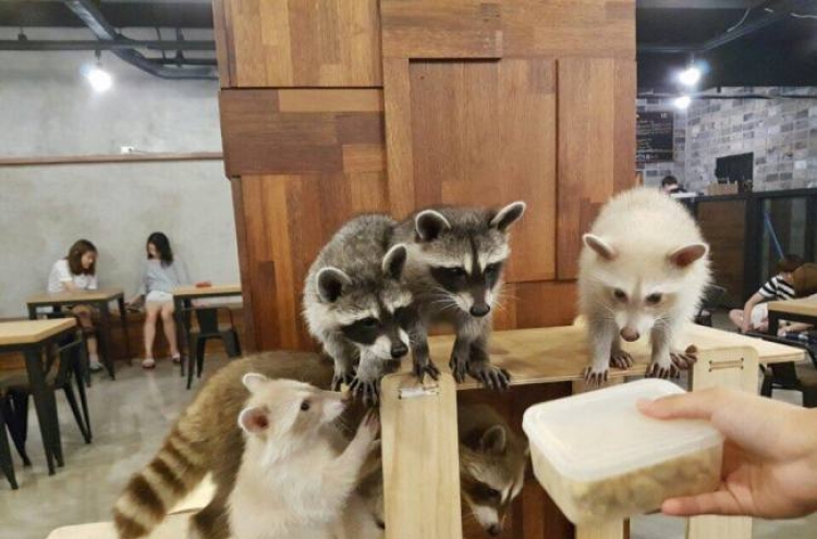 Korea bans cafes exhibiting exotic animals