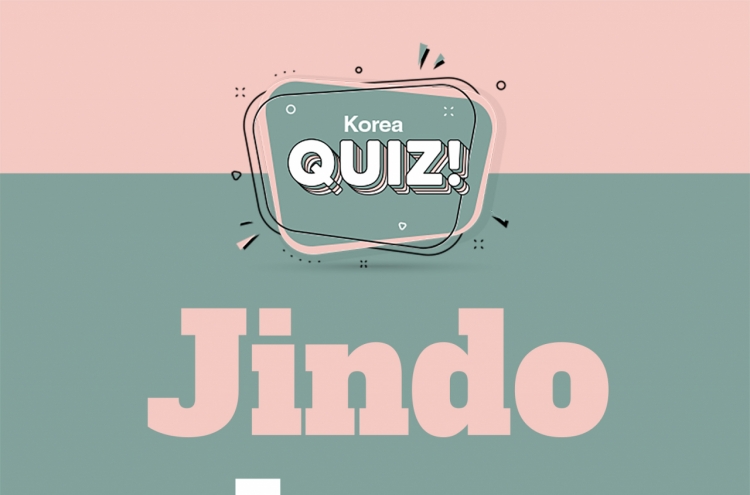 [Korea Quiz] Jindo dogs
