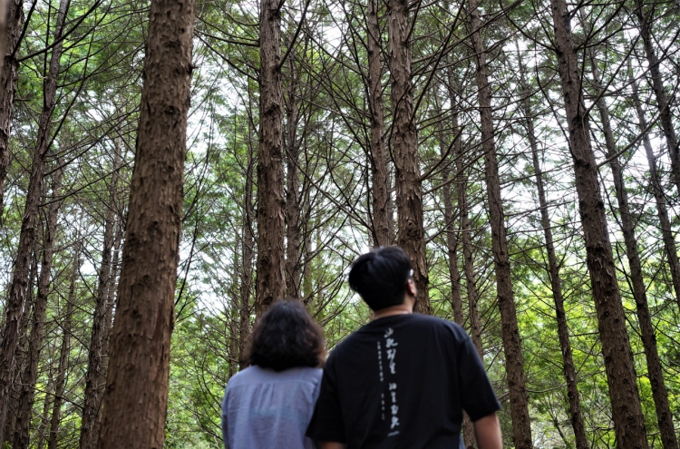 Heal your mind, body in Jeju forest