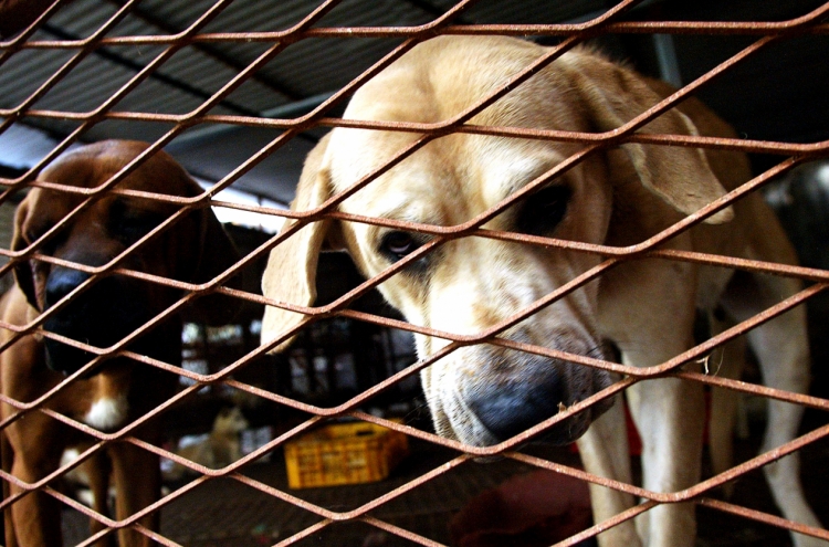 Law to ban dog meat takes effect