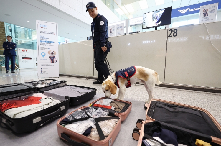 South Korea deploys sniffer dog to screen for bedbugs after Paris Games