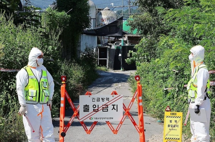 ASF outbreak in Gimpo spurs emergency response ahead of Chuseok