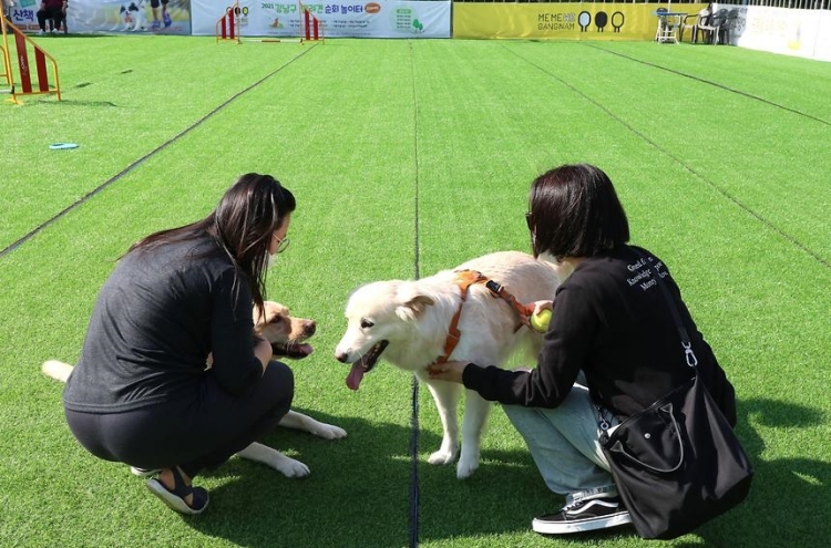 Take your dog to a festival this October