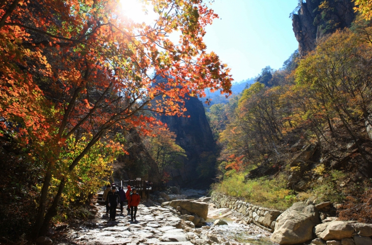 Travel agencies rush fall tourism products as fall foliage expected to arrive early