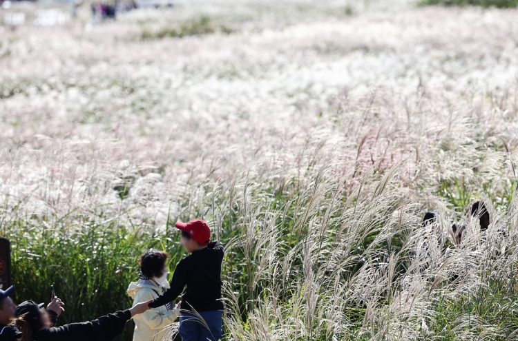 Feel the autumn at Seoul Silver Grass Festival