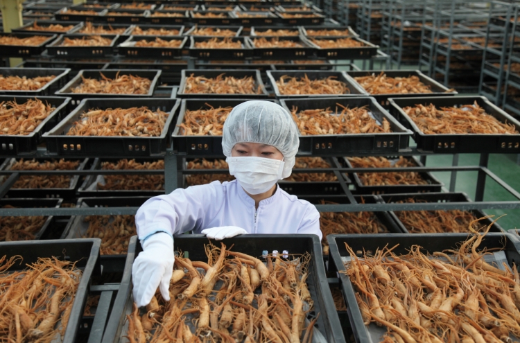 [From the scene] KGC's ginseng harvest season in full swing