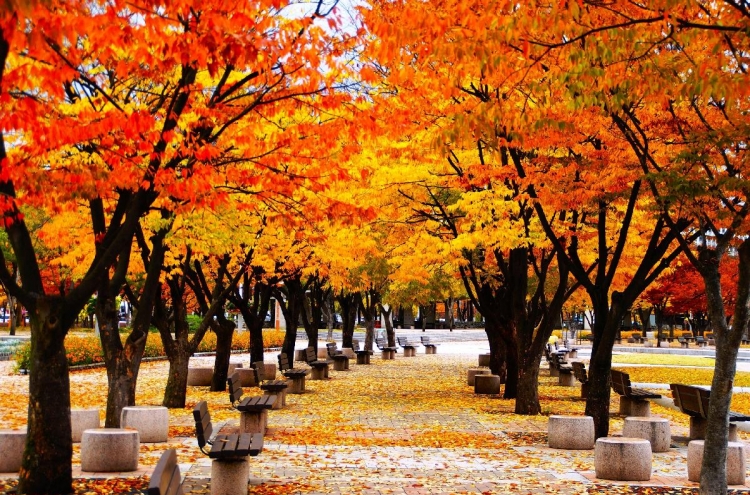 103 autumn foliage paths in Seoul