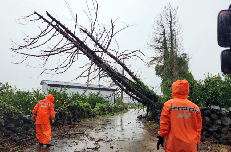 Heaviest November rain in 101 years drenches Jeju