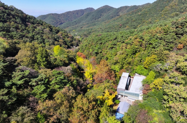 Hot weather has leaves turning later