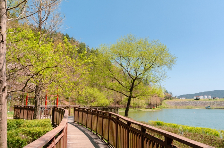 By tree color, Busan still holds on to summer