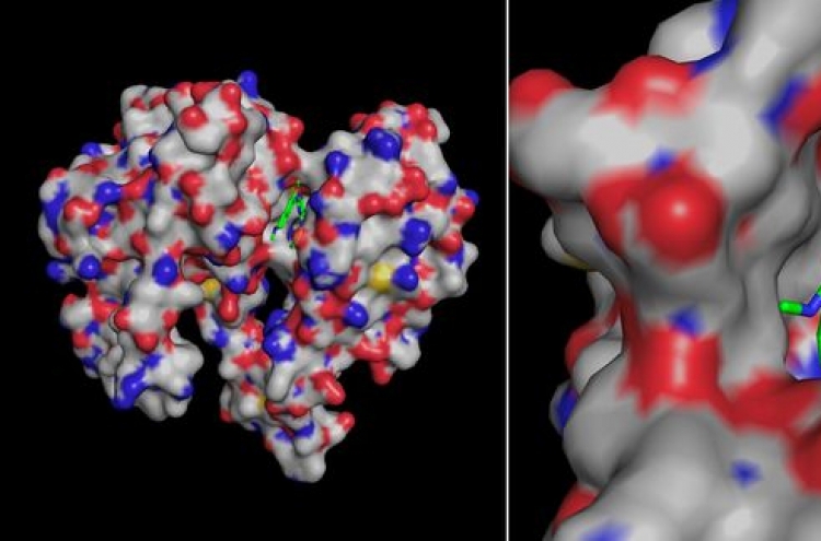 Daewoong develops drug candidate for oral obesity treatment