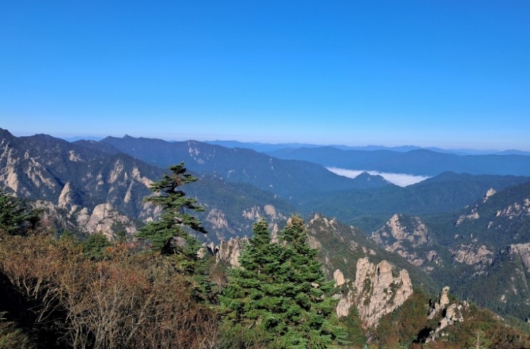 Nearly half of pines at Seoraksan face extinction due to global warming: study