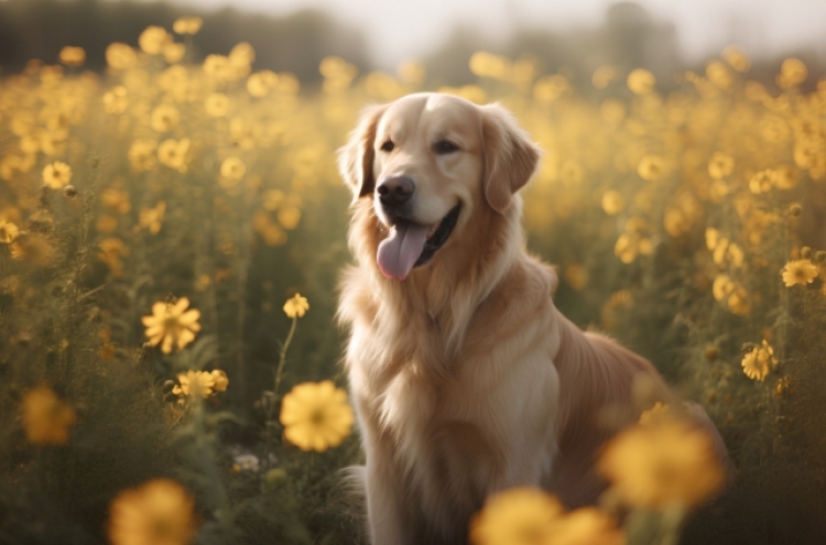 Dogs subject to perpetual abuse at 'dog kindergarten'