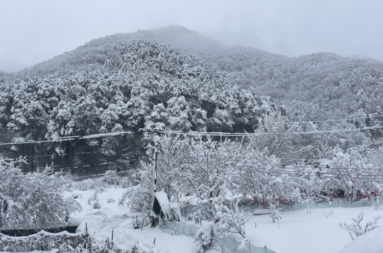 Major snowstorm shuts down schools in Seoul, Gyeonggi Province